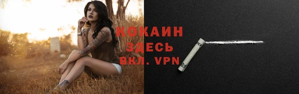 прущий лед Ладушкин
