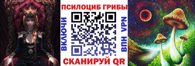 Псилоцибиновые грибы Psilocybe  Тихвин 