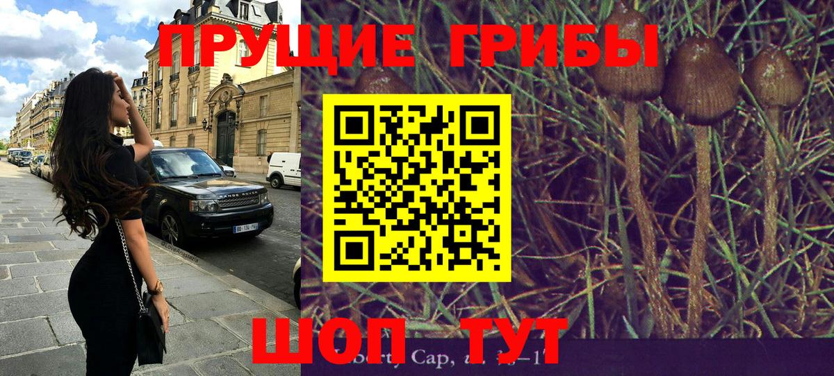Тихвин  как найти   Вход с VPN  Псилоцибиновые грибы Cubensis 