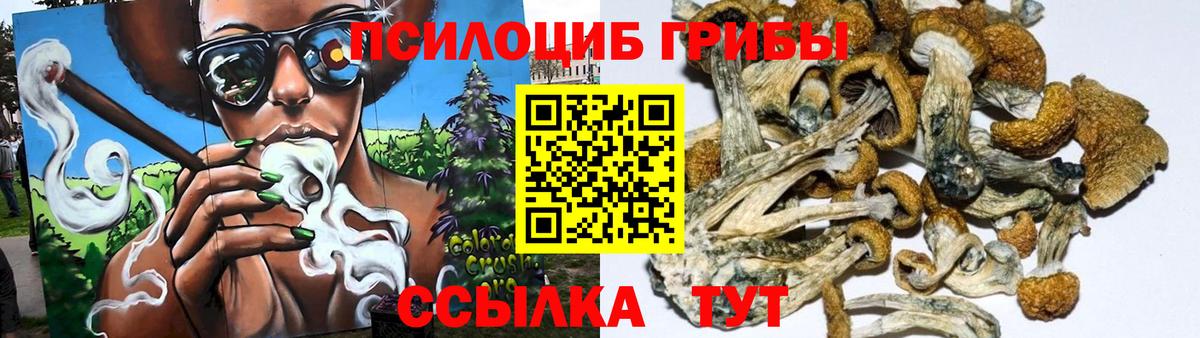 Псилоцибиновые грибы мухоморы Тихвин