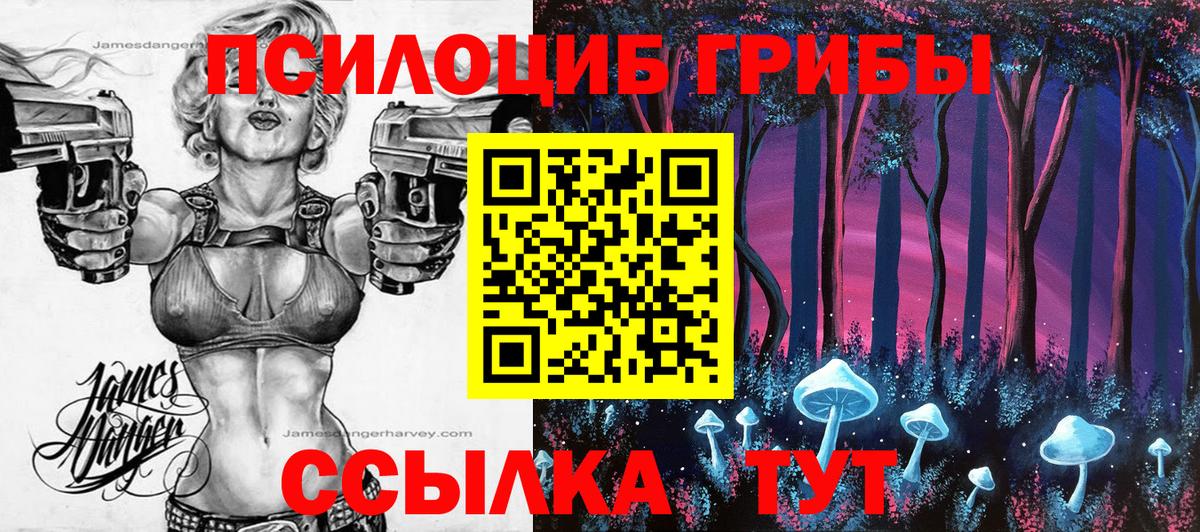 Галлюциногенные грибы Cubensis Тихвин