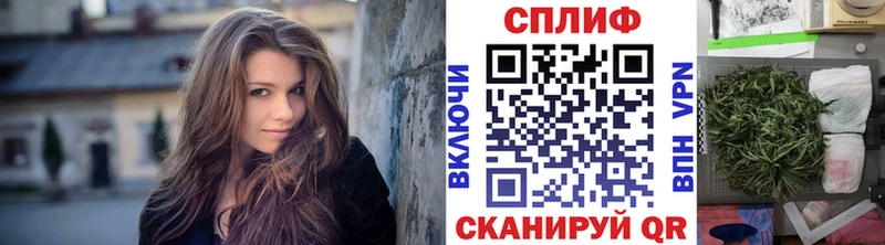 Бошки Шишки семена  Тихвин 